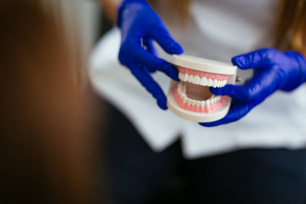 Best Dental Fillings (Composite and Amalgam)  in West Dundee, IL